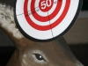 50er_Ed_14 - 117