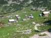 Appelh005