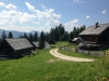 k-IMG_0541