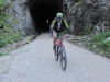 Paun_Grossra035
