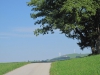 Paun_Grossra043