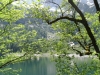 dsc01788