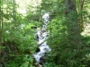 dsc01799