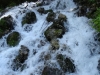 dsc01800