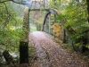 kimg_0136_100