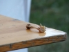 zimg_3024