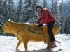 Schladming-2007-005