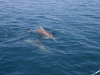 Segeln 2005-034