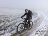 Silvester_16002
