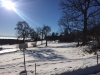 Silvester_16005