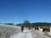 Silvester_16022