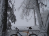 bild-100