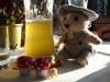 Silvesterb-2006-008