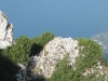 img_0020_72