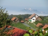 Wein_10.16011