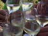 Wein_10.16205