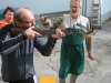pimg_0047_72